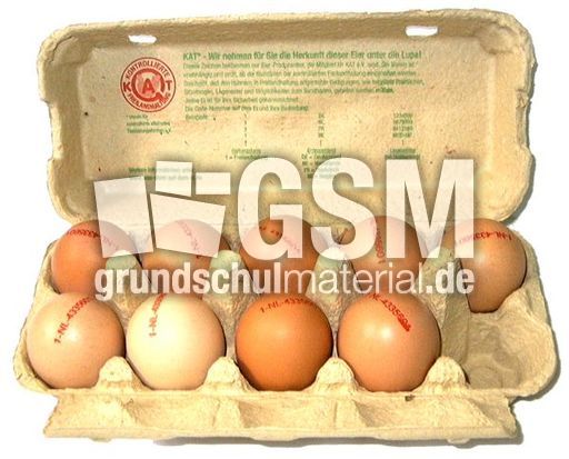 Eier-9.jpg
